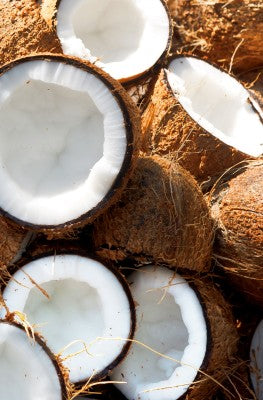 khadi Ayurvedisches Elixier Conditioner COCONUT SHIKAKAI Bio 200ml