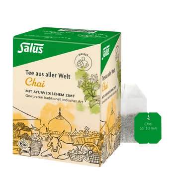Salus Chai Ayurvedischer Kräuter-Gewürztee Bio 15 Filterbeutel