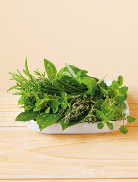 Lebensbaum Kräuter der Provence, geschnitten und getrocknet Bio 30g