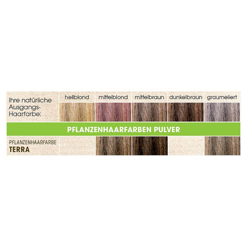 SANTE 100% Pflanzenhaarfarbe mit 3-Fach Pflegekomplex TERRA 04 Bio 100g