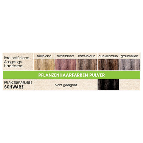 SANTE 100% Pflanzenhaarfarbe mit 3-Fach Pflegekomplex SCHWARZ 05 Bio 100g