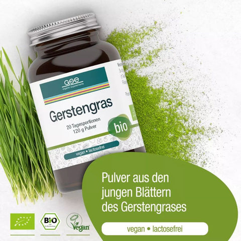 GSE BIO Gerstengras Pulver 120g