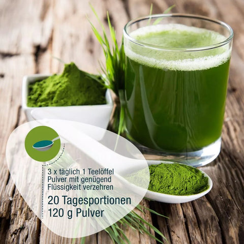 GSE BIO Gerstengras Pulver 120g