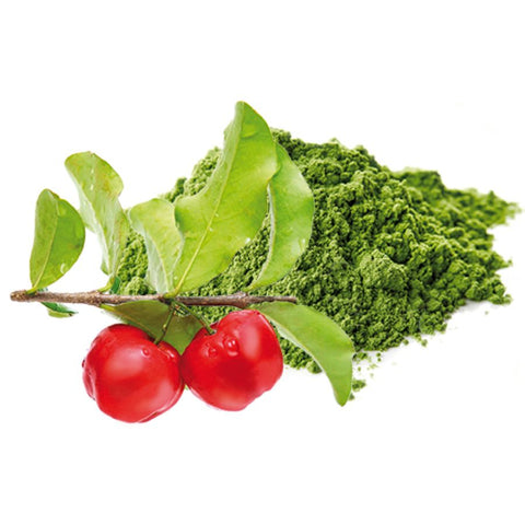 Sanatur ZinkSpirulina & Acerola 180 Kapseln Bio (90 g)