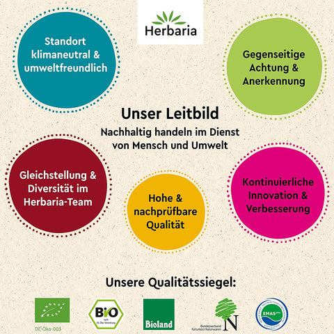 Herbaria Große Karawane Gewürzmischung Bio 90 g