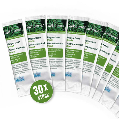 Anton Hübner Magen-Darm Direkt Bio - 30x Portionssticks à 15ml (450ml)