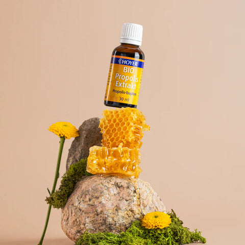 Hoyer Bio Propolis Extrakt Bio 30ml