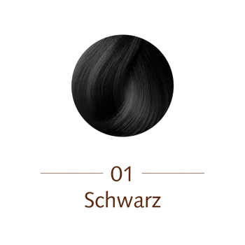SANOTINT® classic 1 Schwarz 125ml