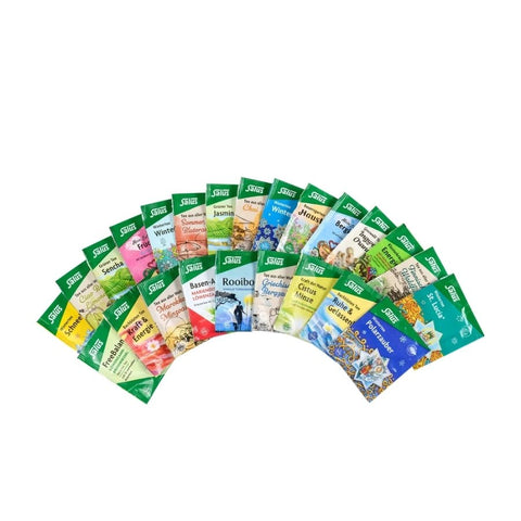 Salus Tee Bio Adventskalender (24 Filterbeutel)