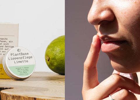 PlantBase Lippenpflege im Tiegel Limette Bio 10g