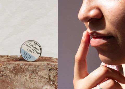 PlantBase Lippenpflege im Tiegel Kokos Bio 10g