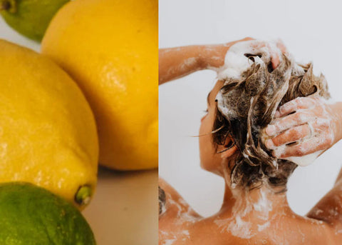 PlantBase Haarseife Lemon Bio 100g