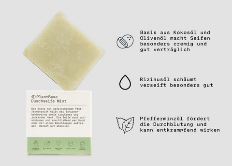 PlantBase Duschseife Mint Bio 100g