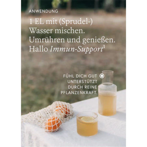 kruut Wildkräuterauszug Immun Bio 150ml