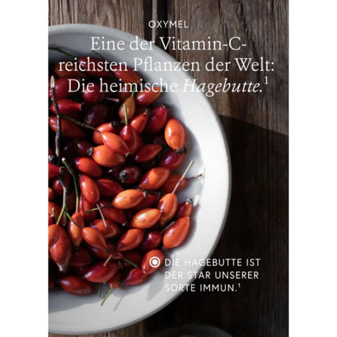 kruut Wildkräuterauszug Immun Bio 150ml