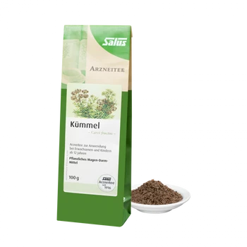 Salus Kümmel Tee Bio 100g