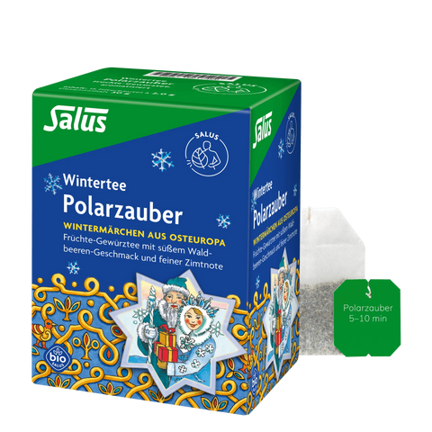Salus Polarzauber Früchte-Gewürztee Bio 15 Filterbeutel
