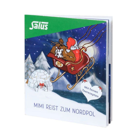 Salus Tee Bio Adventskalender (24 Filterbeutel)