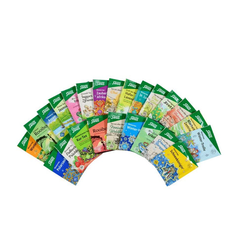 Salus Tee Bio Adventskalender (24 Filterbeutel)