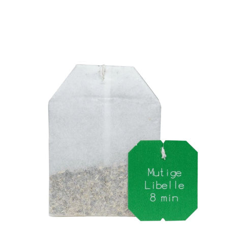 Salus Krafttier Tee Mutige Libelle 15FB/24g