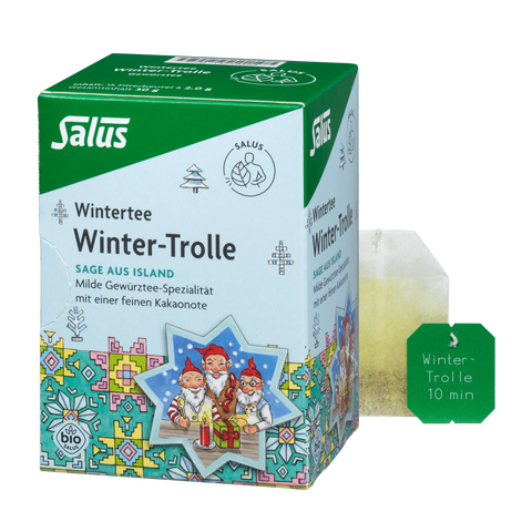 Salus Winter-Trolle Gewürztee Bio 15 Filterbeutel